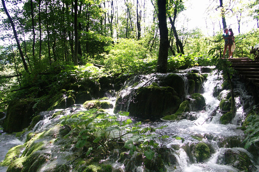 Obraz 064